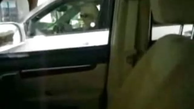 Viejos pero Goldies 168 pelis triple x