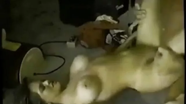 RealityKings - Milf travestis triple x Hunter - Levi Cash Mahina Zaltana - Sexy