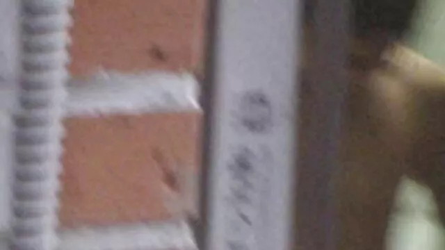 Lily Adams y Sarah pelis x torrent Vandela compartiendo juguetes