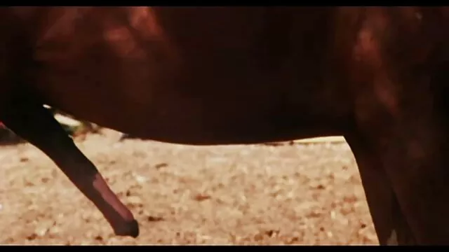 Recogeré a un extraño y me lo follaré videos pornograficos xxx gratis delante de ti